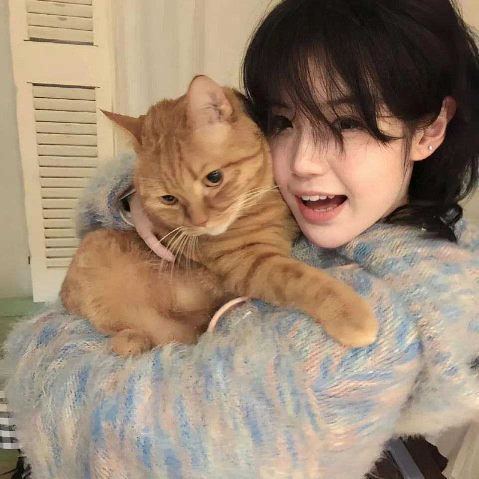 欢乐喜剧人来疯2016